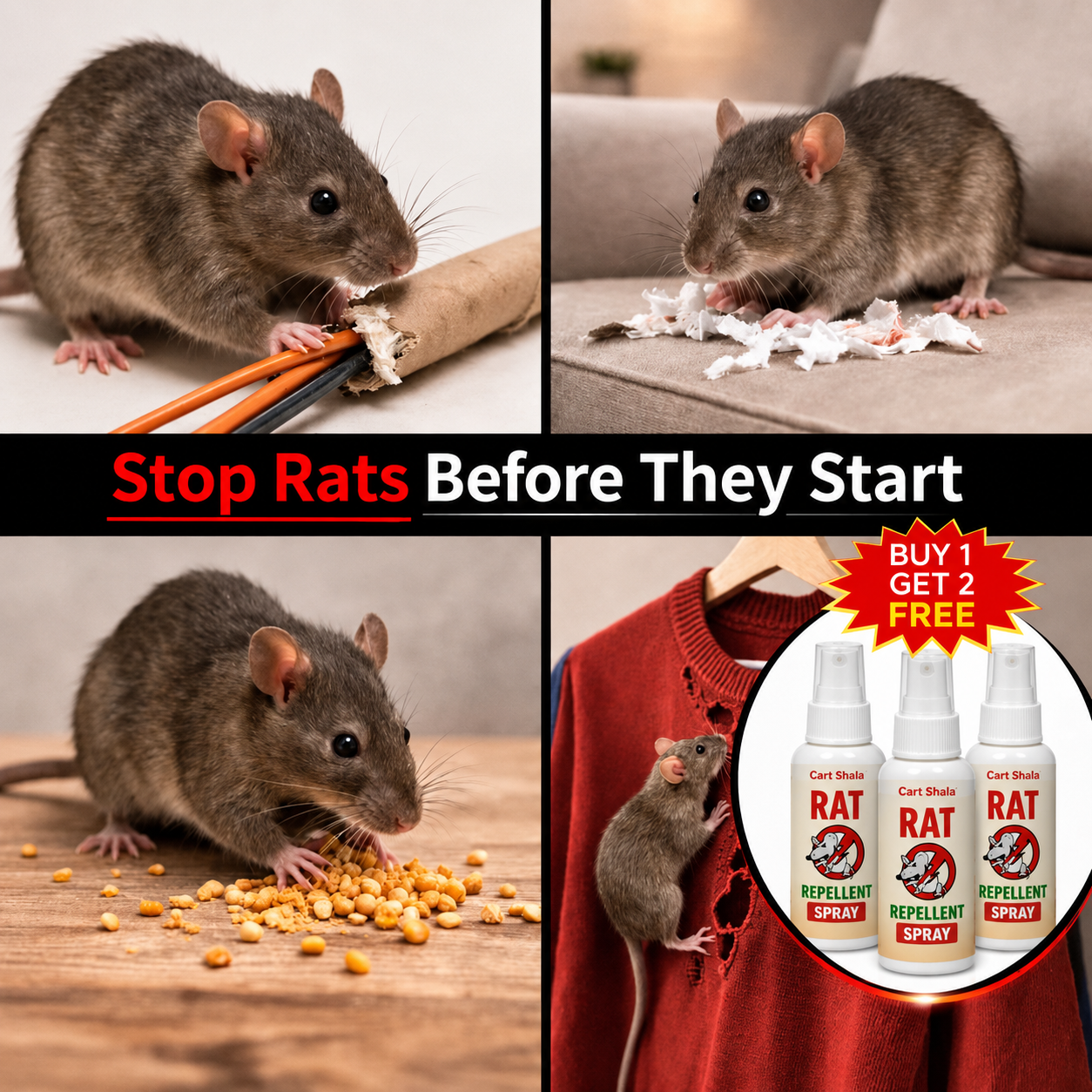 Cart Shala Rat Repellent Spray 50ML Buy 1 Get 2 Free